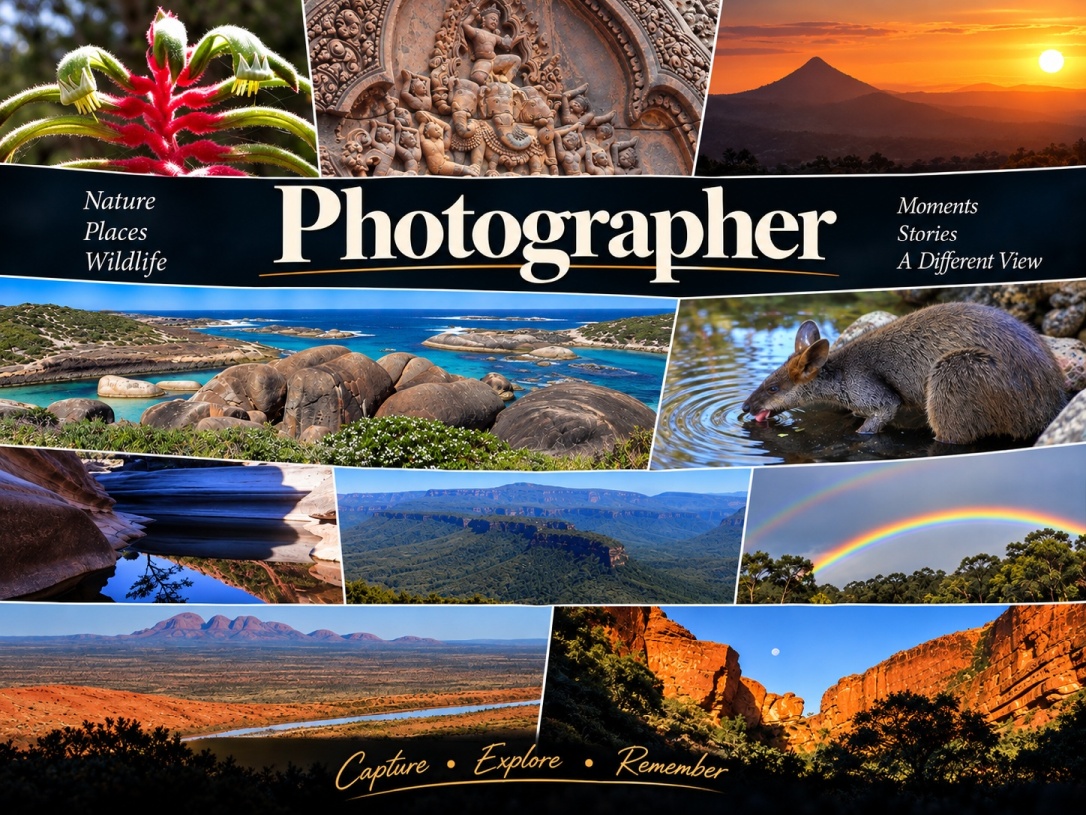 The Photographer